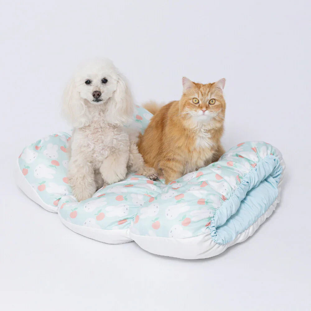 pet bed