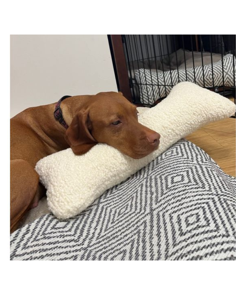 Bumper Bone Pillow