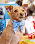Daisy Embroidered Lady Dog Bow