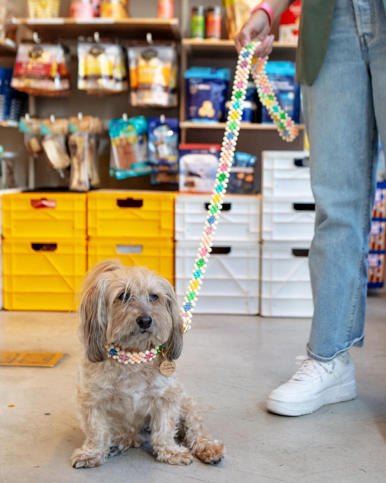 Beaded dog leash