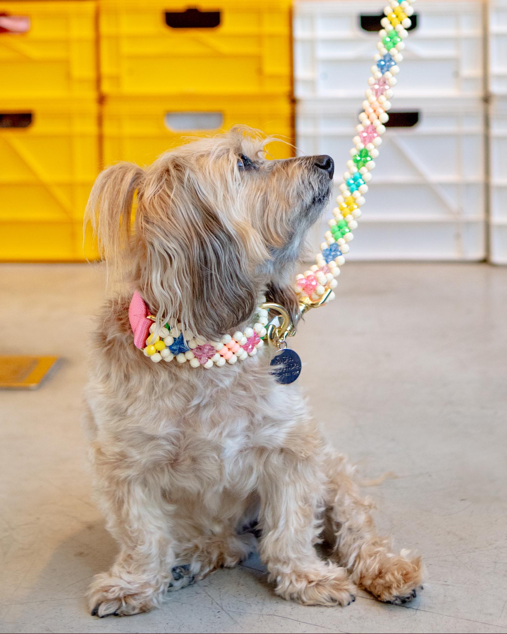 Beaded dog leash
