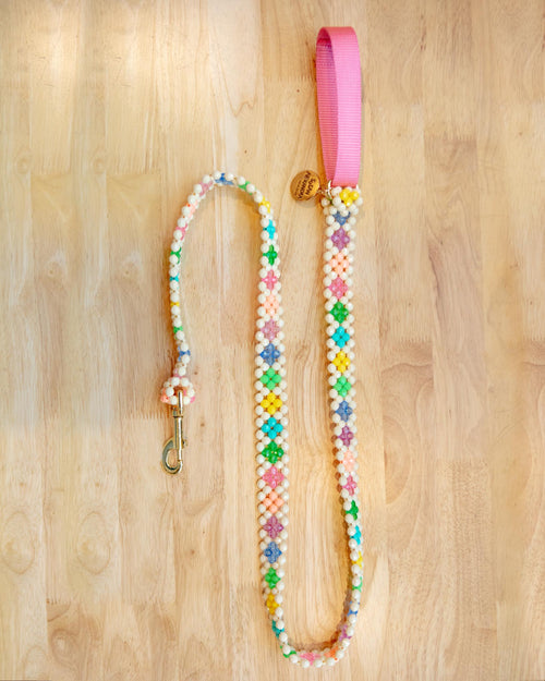 Beaded dog leash