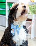 Embroidered dog bow
