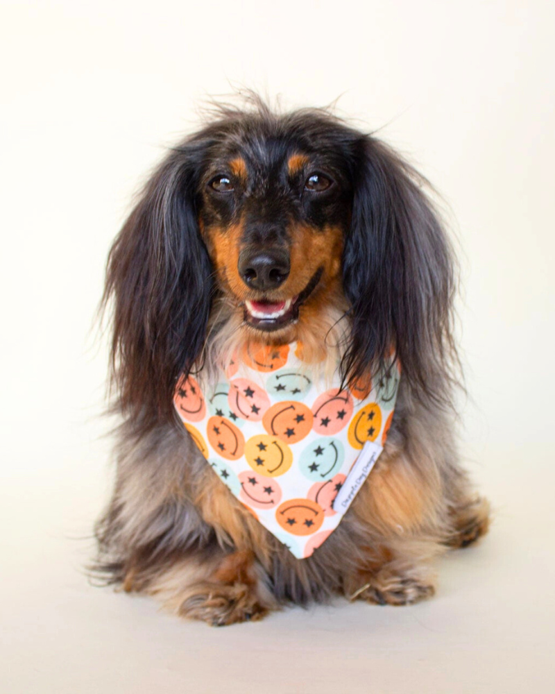 Groovy Smile Dog Bandana