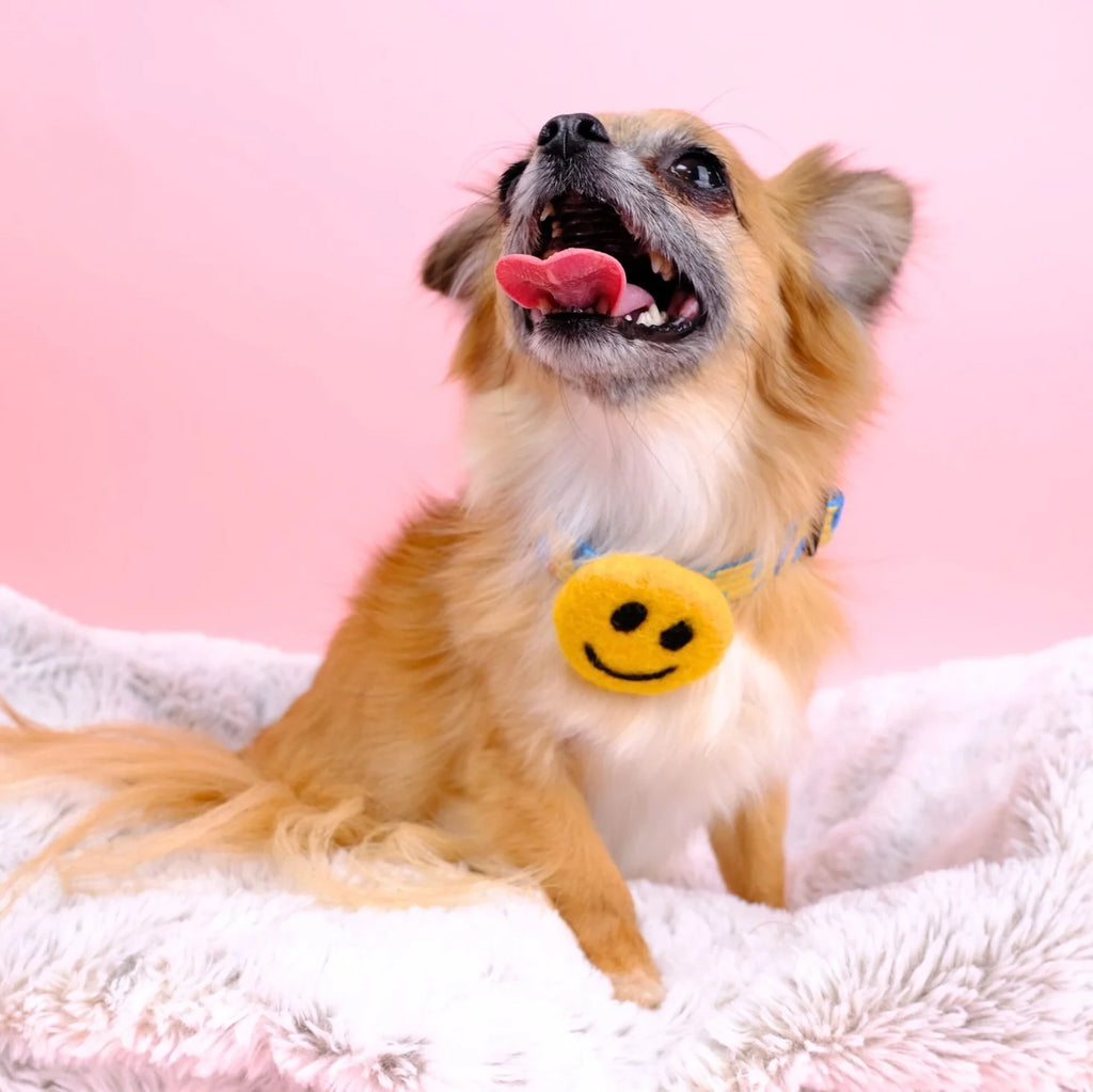 Smiley face choker accessory