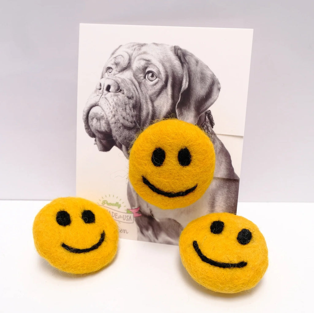 Smiley face choker accessory