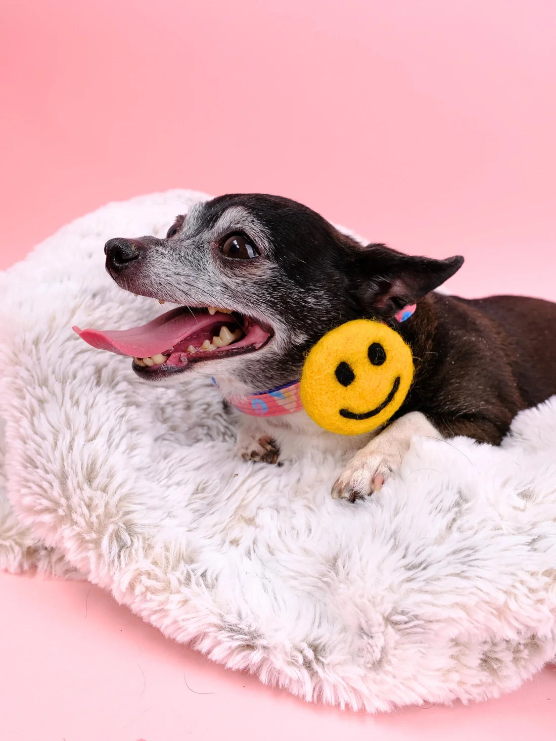 Smiley face choker accessory