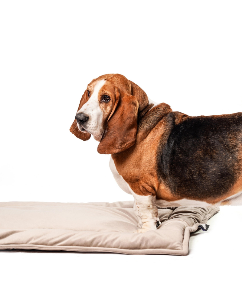 nap mat